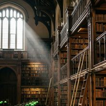 Light through a reading-room window